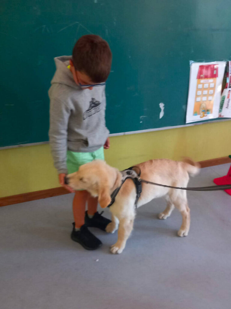 CHARLAS de educación y comunicación de forma abierta a todos, completamente GRATIS y sin ningún tipo de compromiso. Madrid, Las Tablas RESERVA YA TU PLAZAS aforo limitado