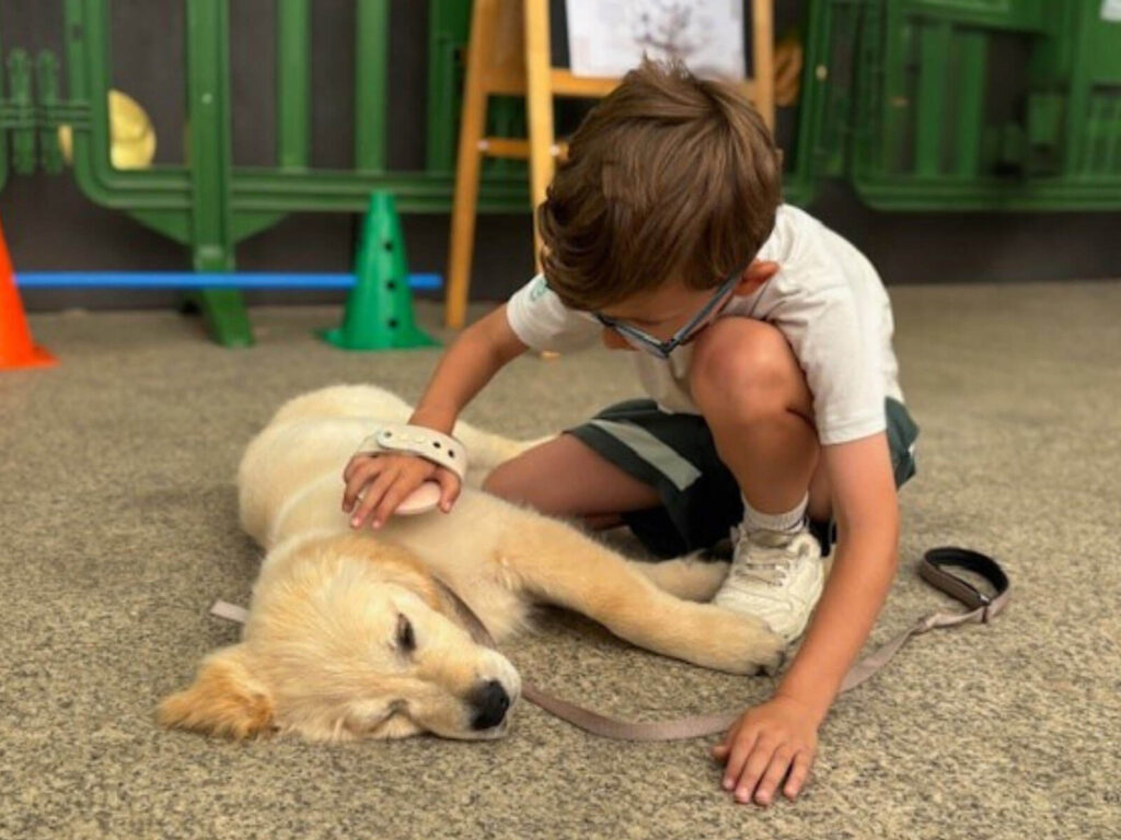 La Escuela de Educación Temprana Realdogs es un sistema de enseñanza único diseñado para ayudar a que los cachorros se conviertan en perros sanos y felices a nivel físico y mental, sin olvidar las necesidades reales de sus “dueños”. Moldeamos comportamientos de forma muy positiva, totalmente respetuosa, y sentamos las bases de una convivencia feliz y armoniosa, tanto dentro como fuera de casa. Pero antes de empezar tu curso de cachorros, ven a conocernos: PRÓXIMA CHARLA GRATUITA de educación y comunicación canina