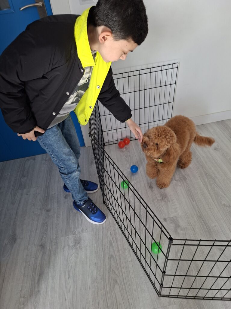 La Escuela de Educación Temprana Realdogs es un sistema de enseñanza único diseñado para ayudar a que los cachorros se conviertan en perros sanos y felices a nivel físico y mental, sin olvidar las necesidades reales de sus “dueños”. Moldeamos comportamientos de forma muy positiva, totalmente respetuosa, y sentamos las bases de una convivencia feliz y armoniosa, tanto dentro como fuera de casa. Pero antes de empezar tu curso de cachorros, ven a conocernos: PRÓXIMA CHARLA GRATUITA de educación y comunicación canina