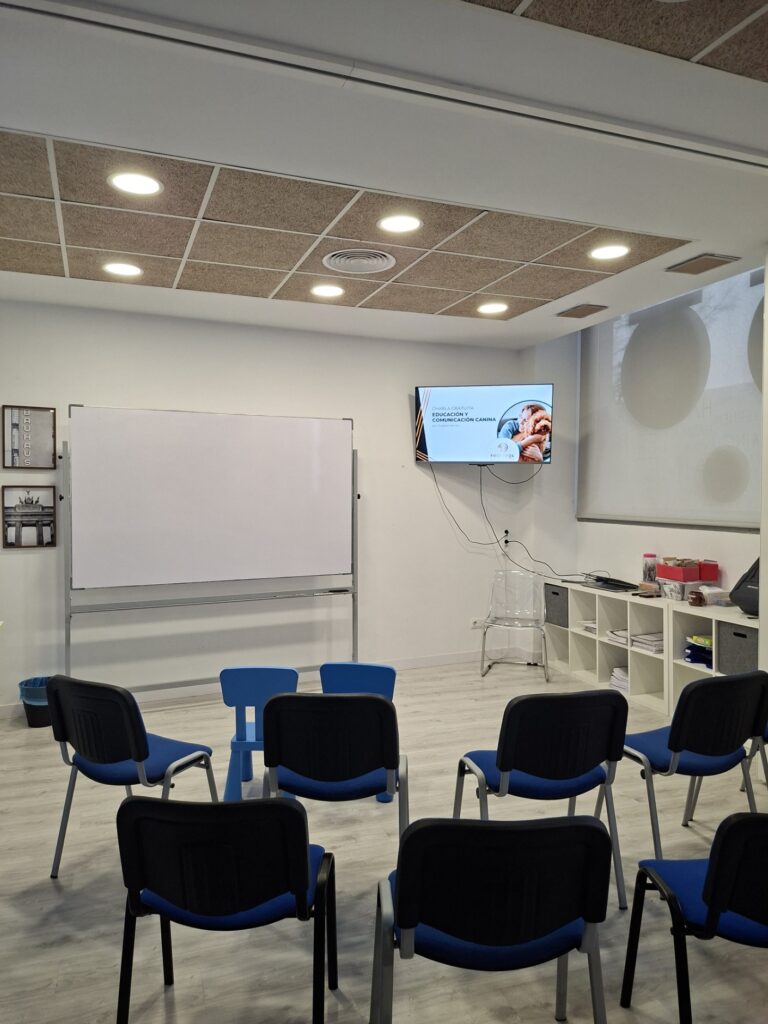 La Escuela de Educación Temprana Realdogs es un sistema de enseñanza único diseñado para ayudar a que los cachorros se conviertan en perros sanos y felices a nivel físico y mental, sin olvidar las necesidades reales de sus “dueños”. Moldeamos comportamientos de forma muy positiva, totalmente respetuosa, y sentamos las bases de una convivencia feliz y armoniosa, tanto dentro como fuera de casa. Pero antes de empezar tu curso de cachorros, ven a conocernos: PRÓXIMA CLASE GRATIS de educación y comunicación canina